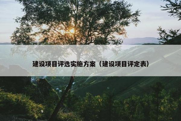 建设项目评选实施方案（建设项目评定表）