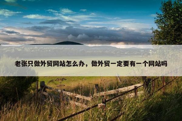 老张只做外贸网站怎么办，做外贸一定要有一个网站吗