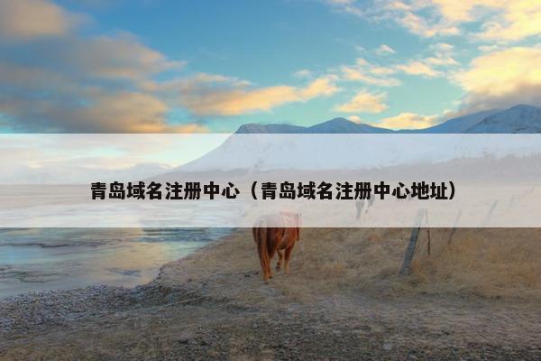 青岛域名注册中心（青岛域名注册中心地址）