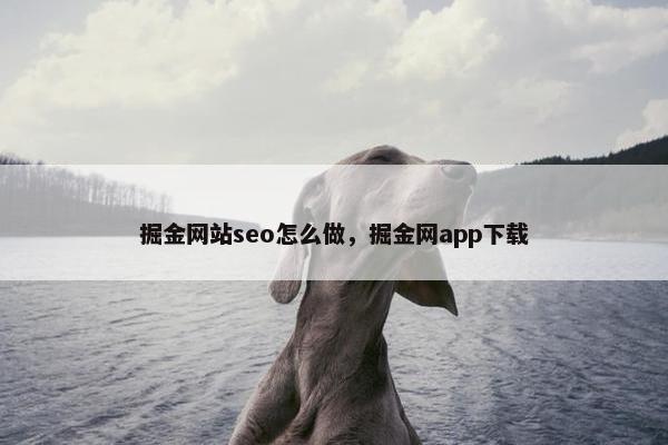 掘金网站seo怎么做，掘金网app下载