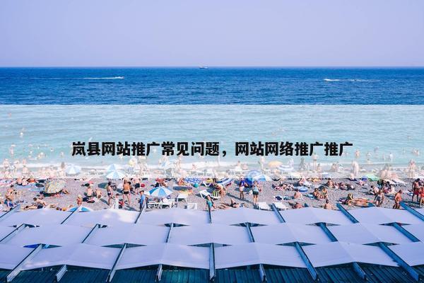 岚县网站推广常见问题，网站网络推广推广