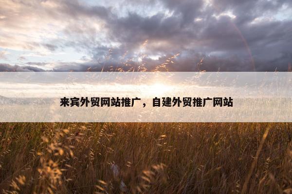 来宾外贸网站推广，自建外贸推广网站