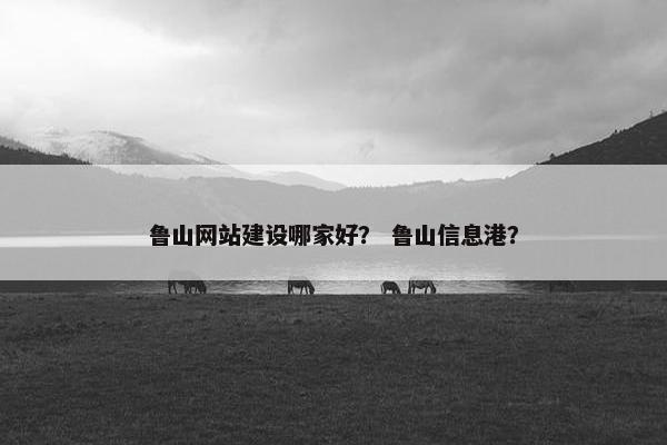 鲁山网站建设哪家好？ 鲁山信息港？