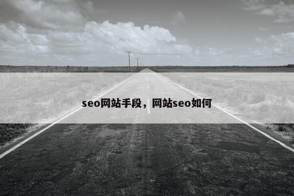 seo网站手段，网站seo如何