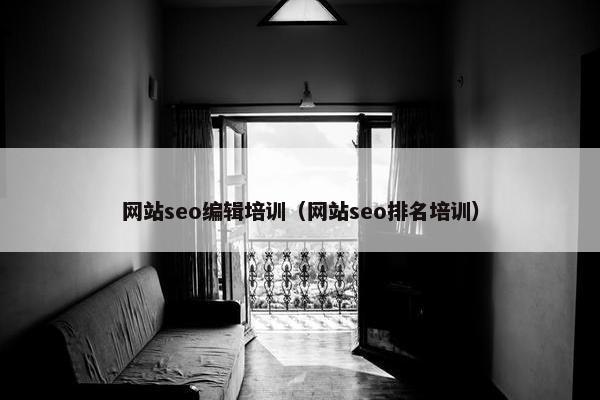 网站seo编辑培训（网站seo排名培训）