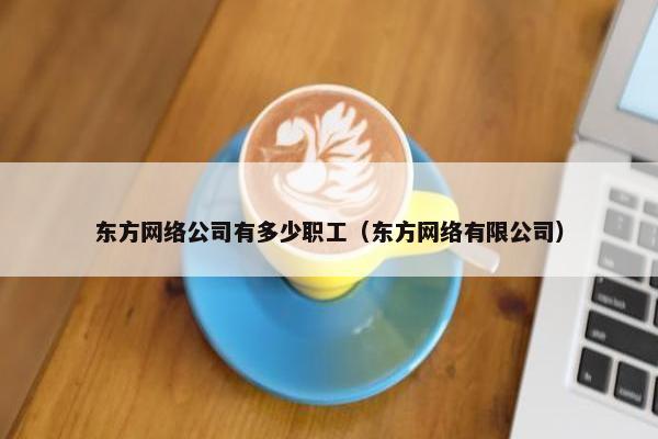 东方网络公司有多少职工（东方网络有限公司）