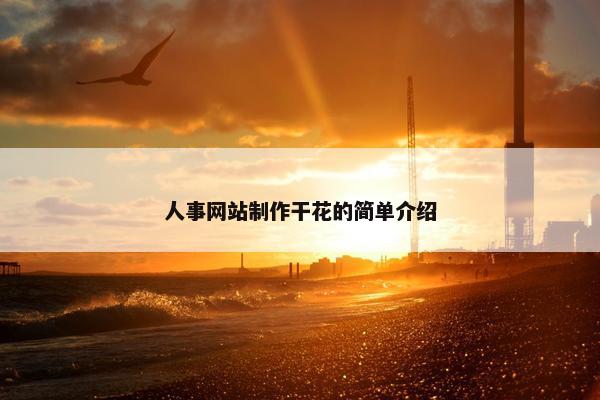 人事网站制作干花的简单介绍