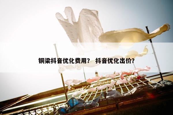 铜梁抖音优化费用？ 抖音优化出价？