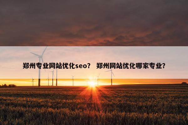 郑州专业网站优化seo？ 郑州网站优化哪家专业？