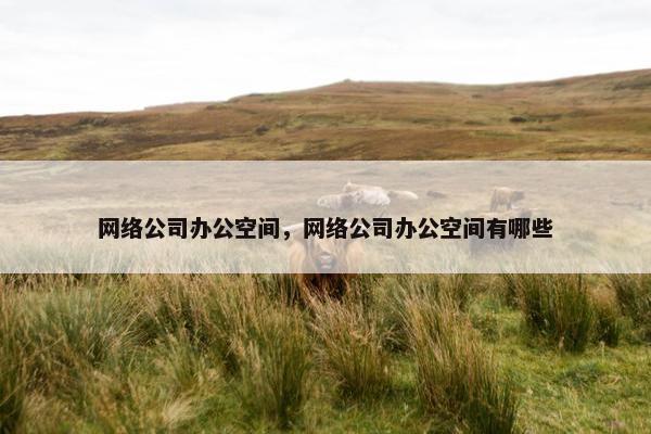网络公司办公空间，网络公司办公空间有哪些