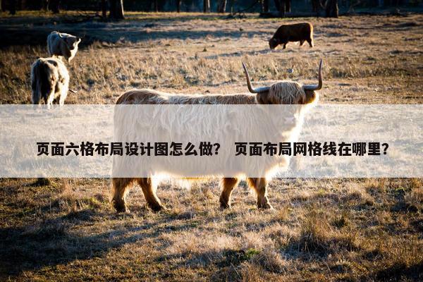 页面六格布局设计图怎么做？ 页面布局网格线在哪里？