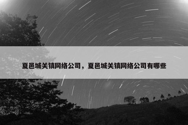 夏邑城关镇网络公司，夏邑城关镇网络公司有哪些
