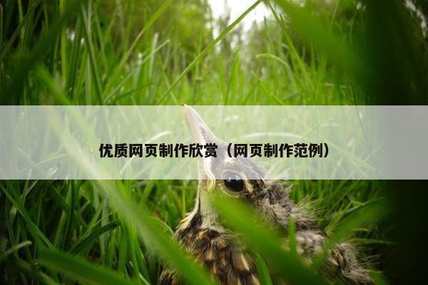 优质网页制作欣赏（网页制作范例）