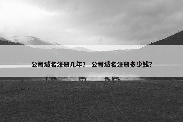 公司域名注册几年？ 公司域名注册多少钱？