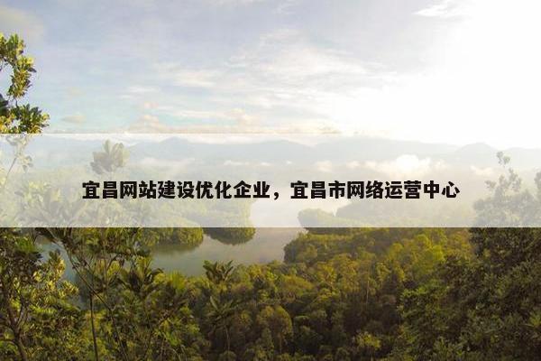 宜昌网站建设优化企业，宜昌市网络运营中心