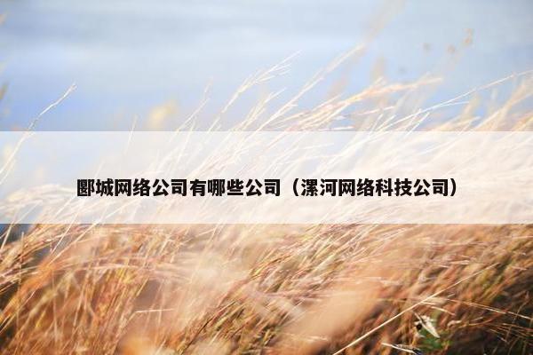 郾城网络公司有哪些公司（漯河网络科技公司）