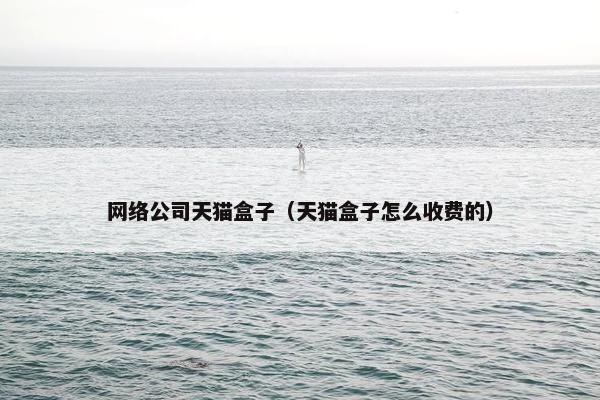 网络公司天猫盒子（天猫盒子怎么收费的）