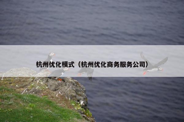 杭州优化模式（杭州优化商务服务公司）