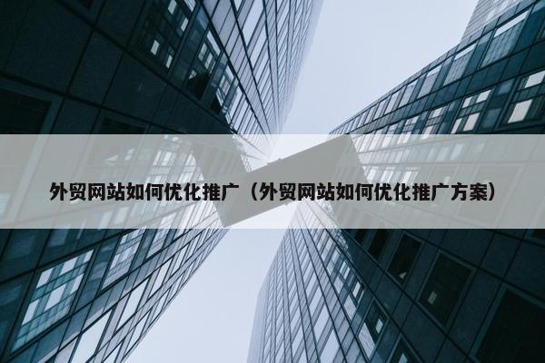 外贸网站如何优化推广（外贸网站如何优化推广方案）