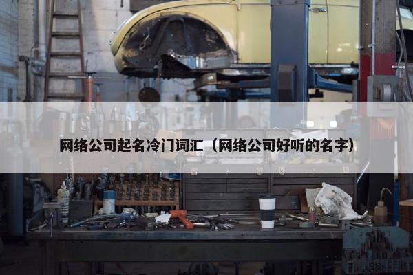 网络公司起名冷门词汇（网络公司好听的名字）