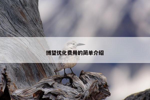 博望优化费用的简单介绍