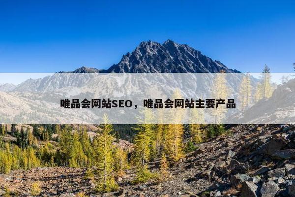 唯品会网站SEO，唯品会网站主要产品