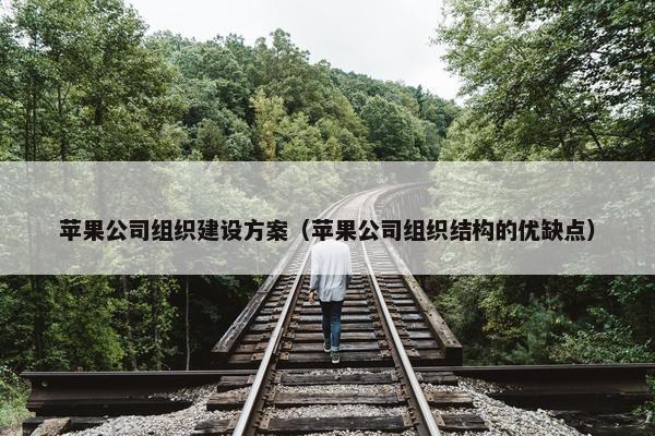 苹果公司组织建设方案（苹果公司组织结构的优缺点）