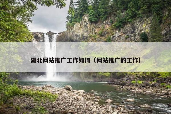 湖北网站推广工作如何（网站推广的工作）