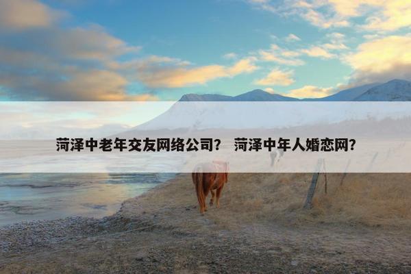菏泽中老年交友网络公司？ 菏泽中年人婚恋网？