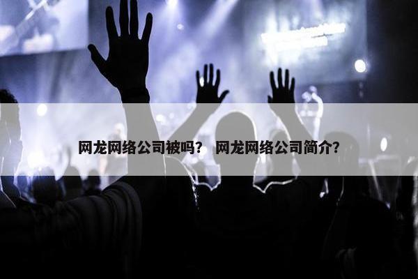 网龙网络公司被吗？ 网龙网络公司简介？