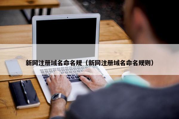 新网注册域名命名规（新网注册域名命名规则）