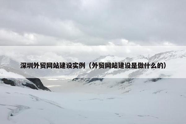 深圳外贸网站建设实例（外贸网站建设是做什么的）