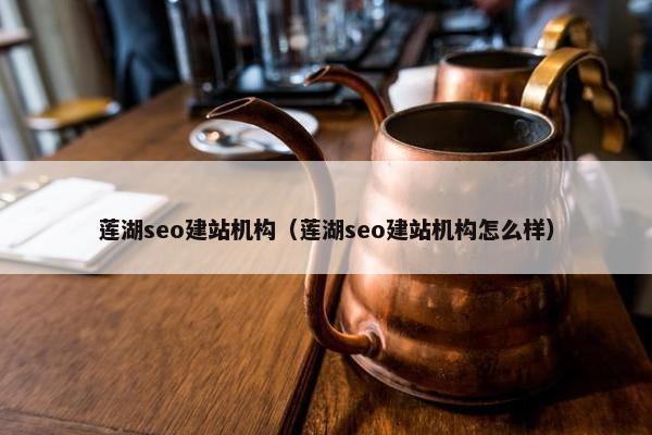莲湖seo建站机构（莲湖seo建站机构怎么样）