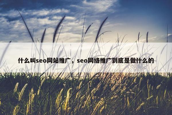 什么叫seo网站推广，seo网络推广到底是做什么的