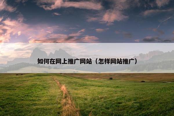 如何在网上推广网站（怎样网站推广）