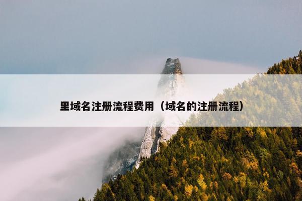 里域名注册流程费用（域名的注册流程）