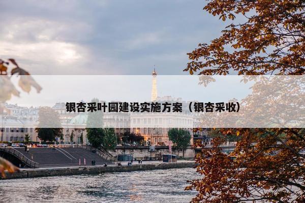 银杏采叶园建设实施方案（银杏采收）