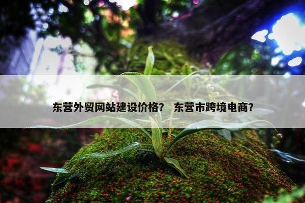 东营外贸网站建设价格？ 东营市跨境电商？