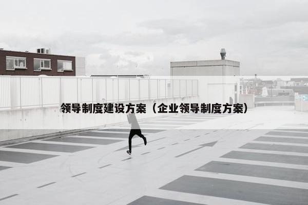领导制度建设方案（企业领导制度方案）
