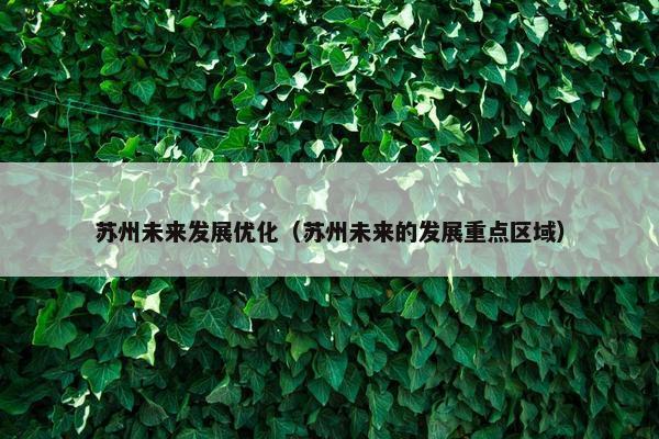 苏州未来发展优化（苏州未来的发展重点区域）