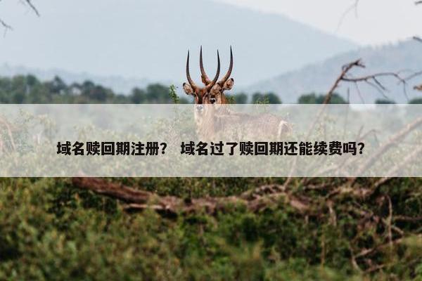 域名赎回期注册？ 域名过了赎回期还能续费吗？