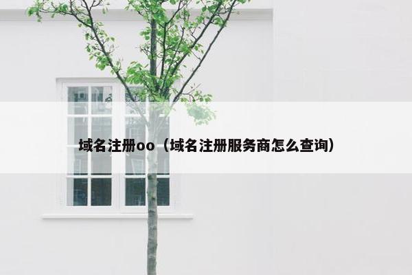域名注册oo（域名注册服务商怎么查询）