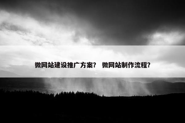 微网站建设推广方案？ 微网站制作流程？
