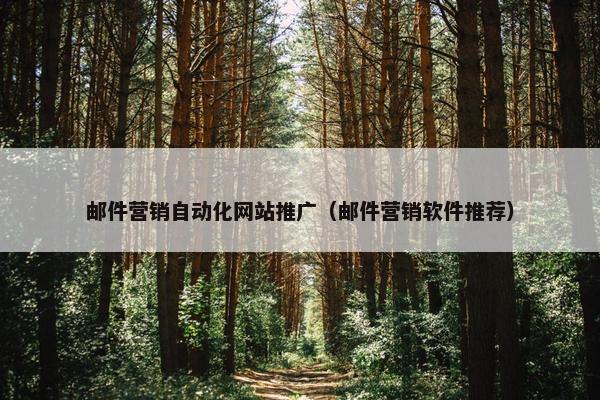 邮件营销自动化网站推广（邮件营销软件推荐）