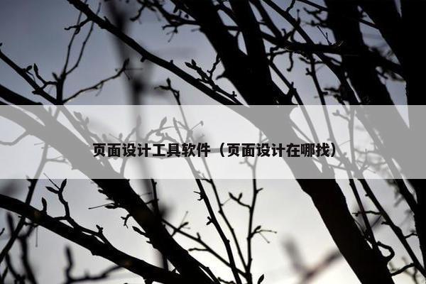 页面设计工具软件（页面设计在哪找）