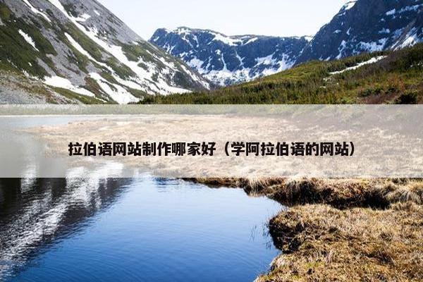 拉伯语网站制作哪家好（学阿拉伯语的网站）