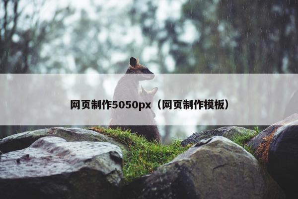 网页制作5050px（网页制作模板）