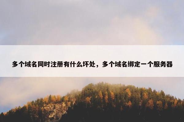 多个域名同时注册有什么坏处，多个域名绑定一个服务器