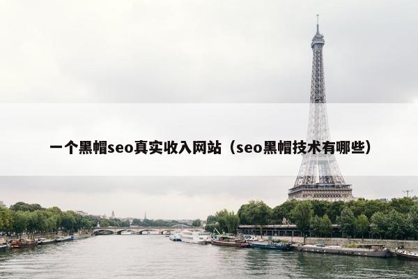 一个黑帽seo真实收入网站（seo黑帽技术有哪些）
