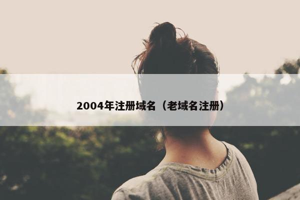2004年注册域名（老域名注册）